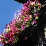 Roesslwirt Kirchberg in Tirol